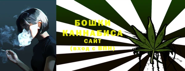 гашик Каменка