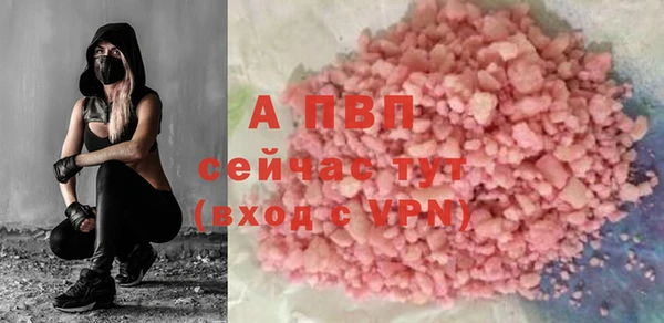 гашик Каменка